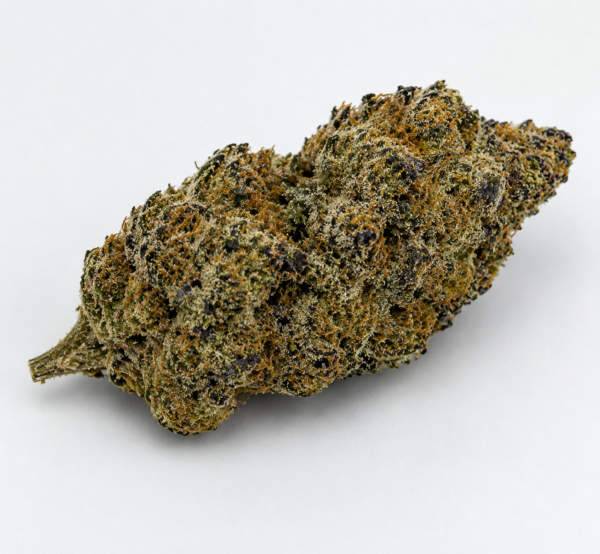 Lusty Lady hemp flower close-up