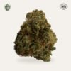 Valencia Kush Hemp Flower