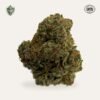 Valencia Kush Hemp Flower