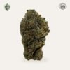 jungle-juice-3 Jungle Juice Hemp Flower