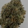 jungle-juice-detail Jungle Juice Hemp Flower