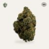 Garlic Mintz Hemp Flower