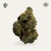 Garlic Mintz Hemp Flower