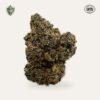 Kashmir Black Hemp Flower