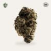 Kashmir Black Hemp Flower