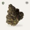 Kashmir Black Hemp Flower