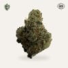 Bluzzi Hemp Flower