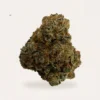 blue-moon-cream Blue Moon hemp flower bud, product photograph