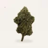 Candy Cooler hemp flower bud, product photograph