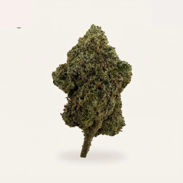 Candy Cooler hemp flower bud, product photograph