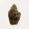 Cured Tuna hemp flower bud, product photograph