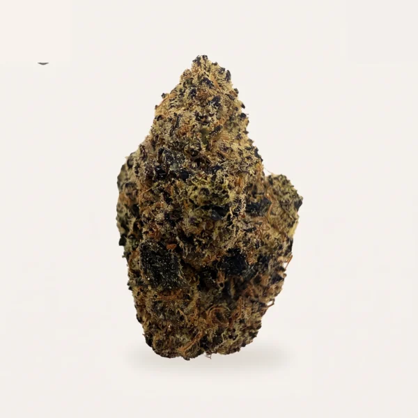 Cured Tuna hemp flower bud, product photograph