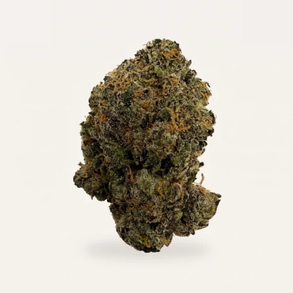 Jungle Juice hemp flower bud, product photograph