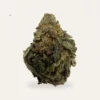 Lemon Cherry Cookies hemp flower bud, product photograph