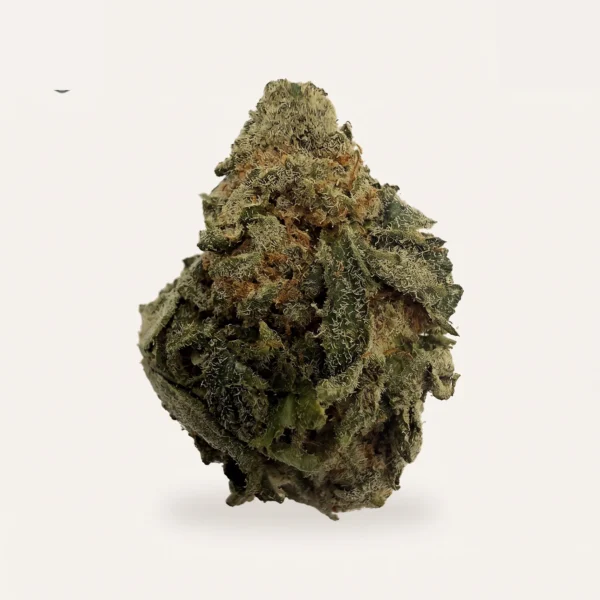 Lemon Cherry Cookies hemp flower bud, product photograph