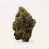 new-yorker-cream The New Yorker hemp flower bud, product photograph