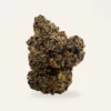 pink-zushi-cream Pink Zushi hemp flower bud, product photograph